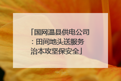 国网温县供电公司：田间地头送服务 治本攻坚保安全
